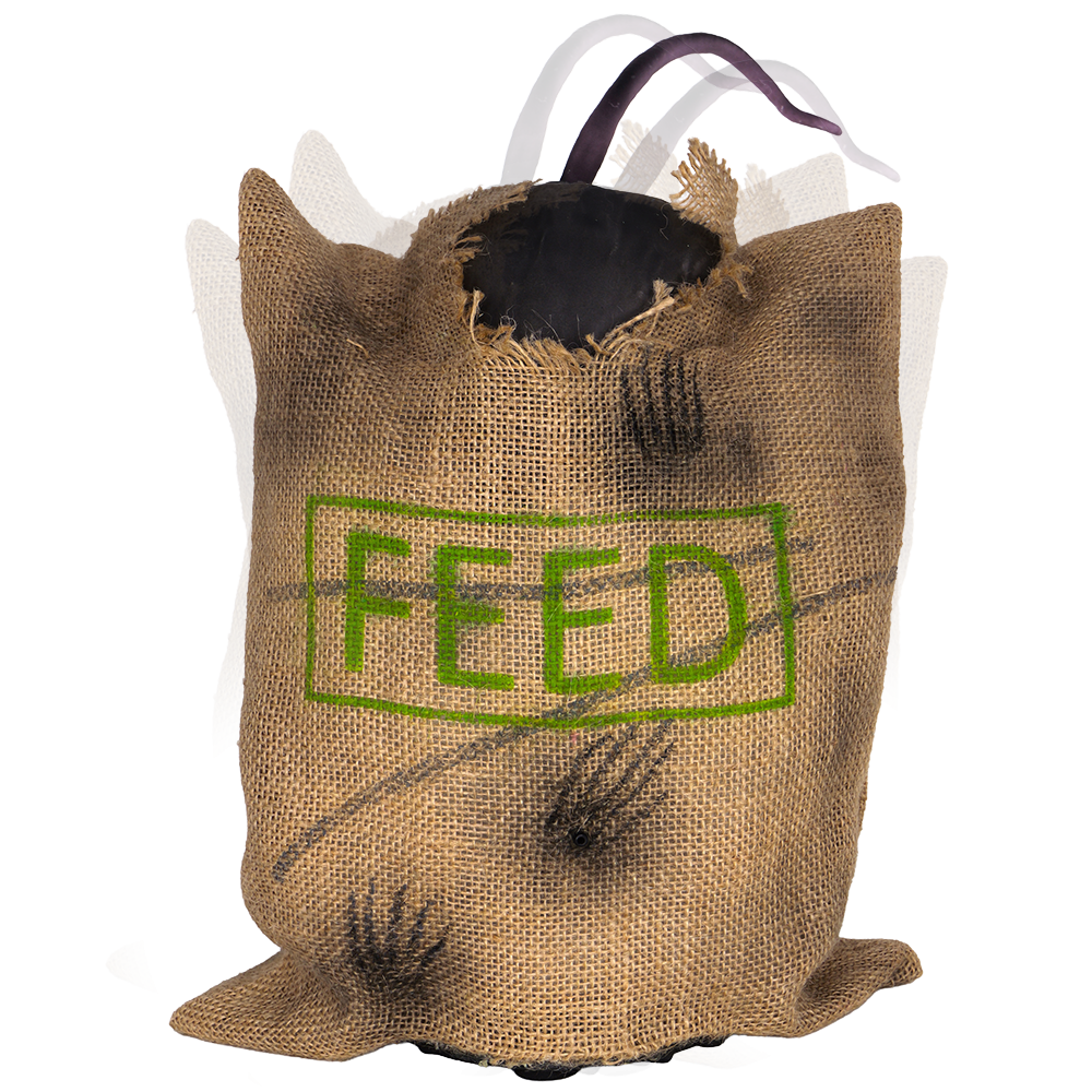 Animated Rat in Feed™
