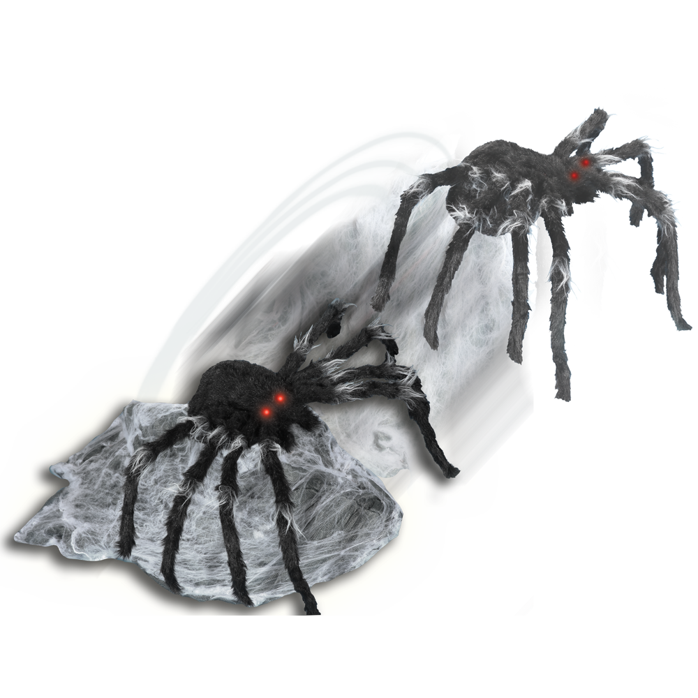 Black Jumping Spider™