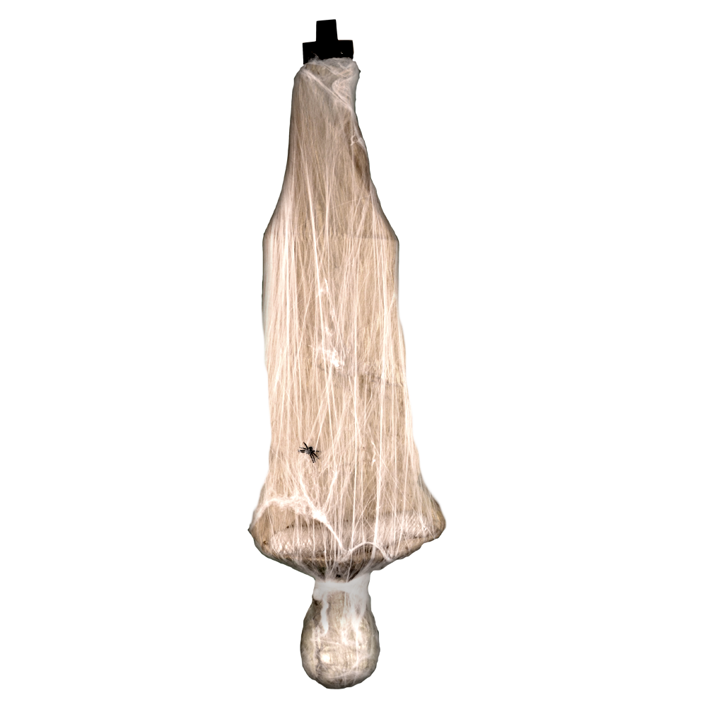 Spider Web Mummy™